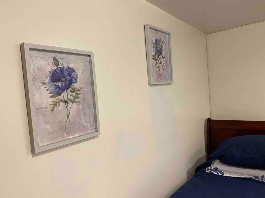 Treasure In Queens Apartment New York Exterior photo